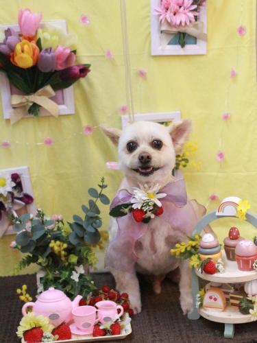 20230325ポンタくん